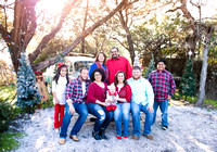 Salas Family Christmas
